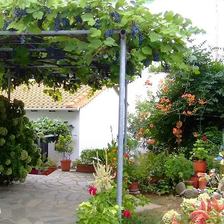 Guest house Marina *